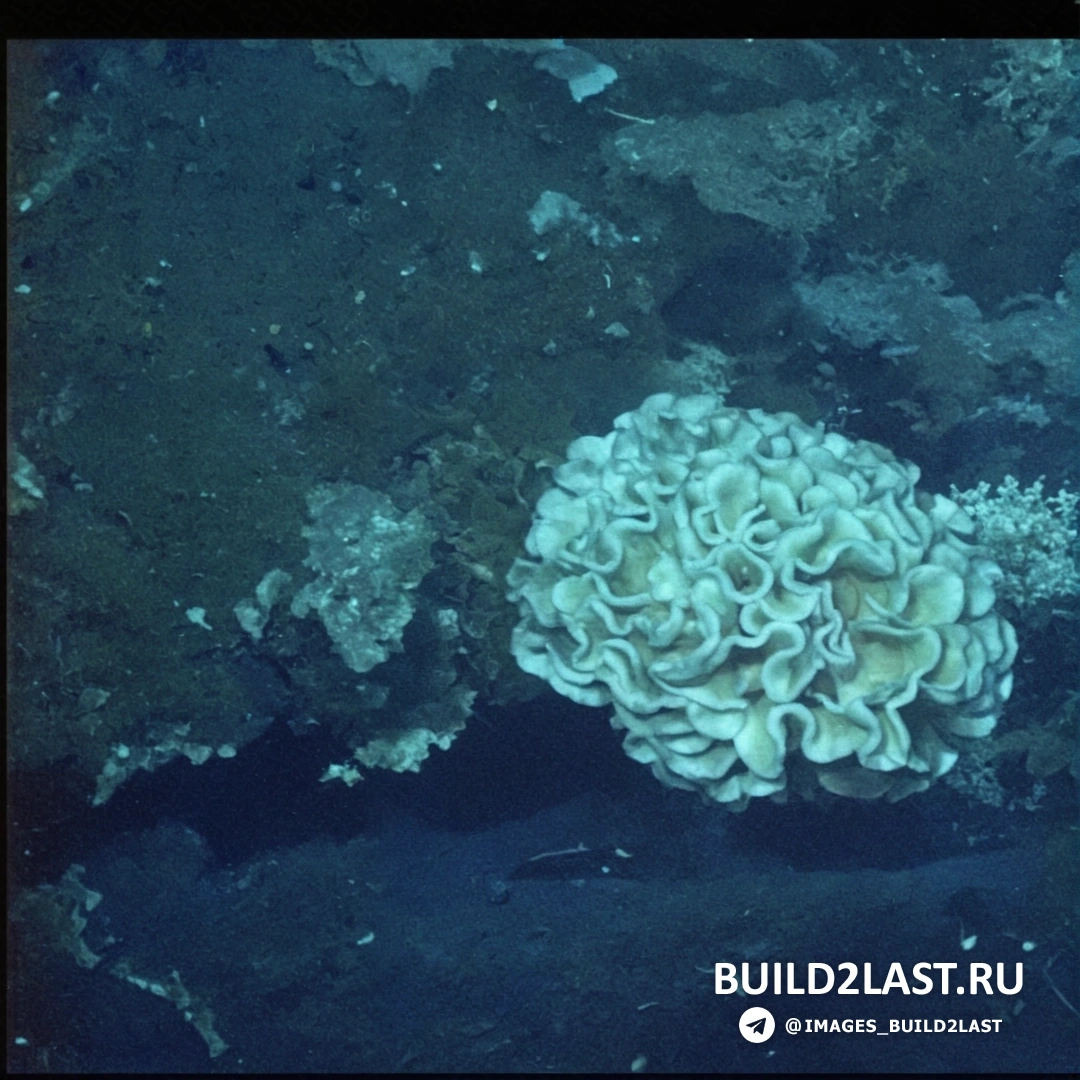 �������� ��������� ����� � �����, ������� ��������� ������������� �������� � ��������