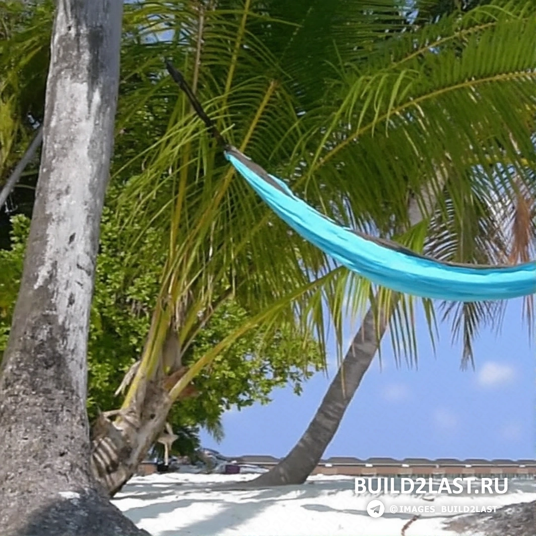 ����� � ���������� � ������� �����