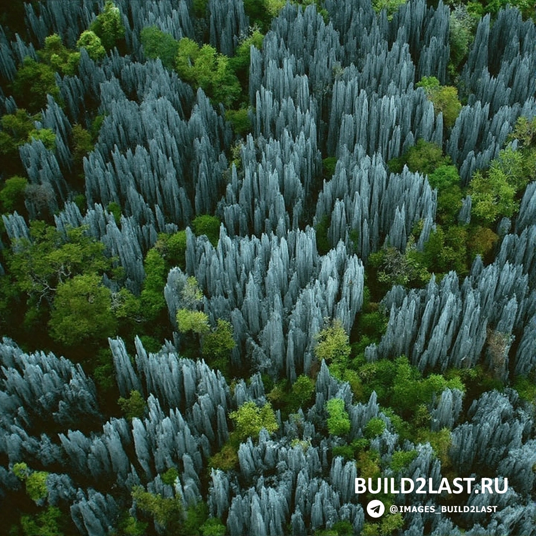 ����������� ���������� �������� �������� � �������� ���� �����������.