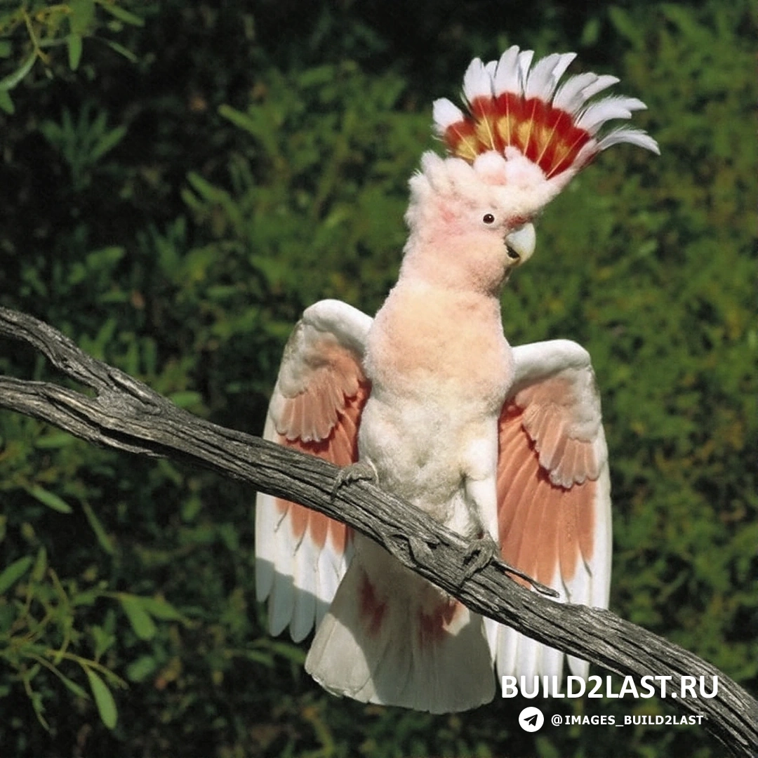 ���������� ��� �� ������������ ���� ������ � ������, ������ ���� � �������� ������������