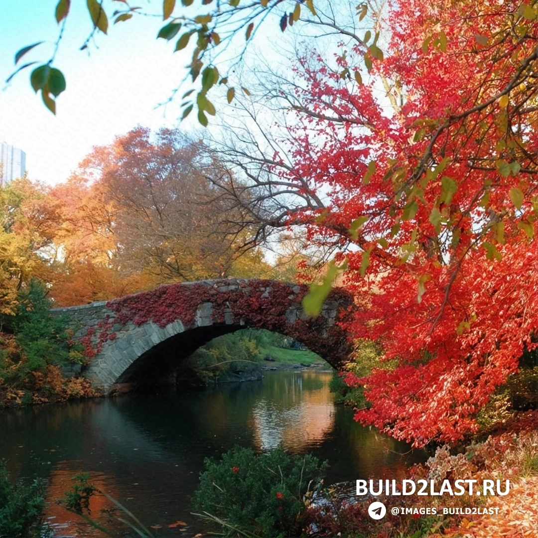 �������� ���� � ������, ������ � �������� �������� � ������� ��������